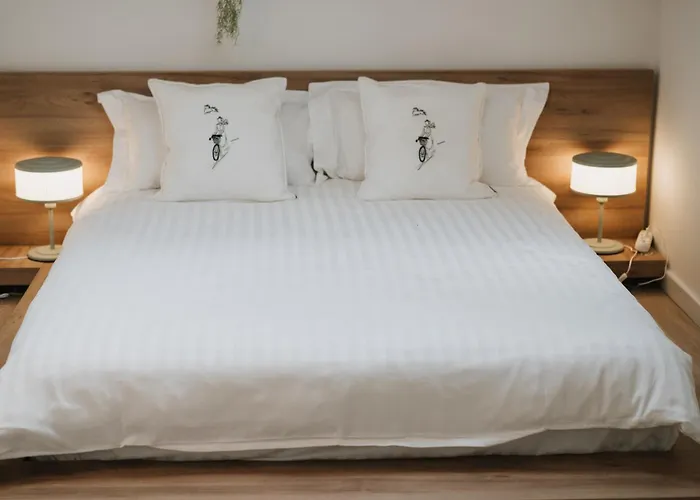 Apartment Mountain Whisper Brasov